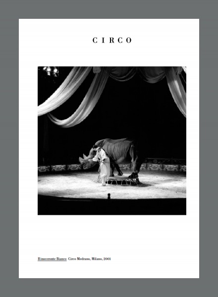 CIRCUS-BOOK-Cover-with-Gray-background